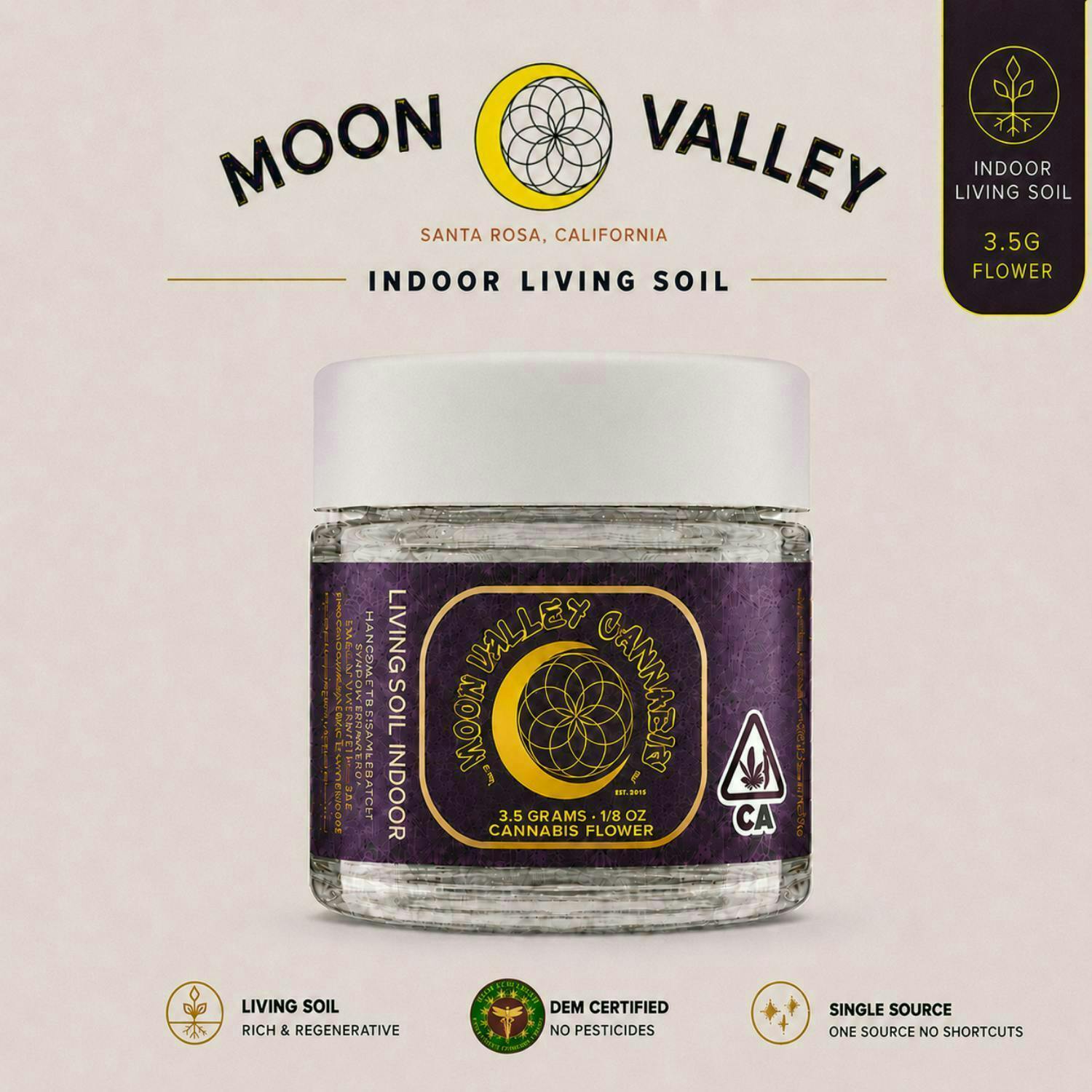 Moon Valley: Pineapple Passion Zmoothie