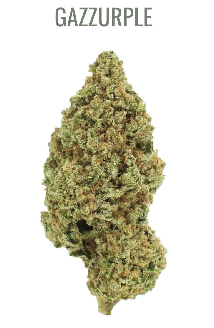 BURRS PLACE: SATIVA - GAZZURPLE - 3.5G