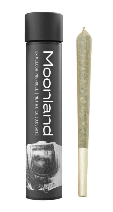 MOONLAND | MODIFIED MINTZ | 1G | PRE ROLL