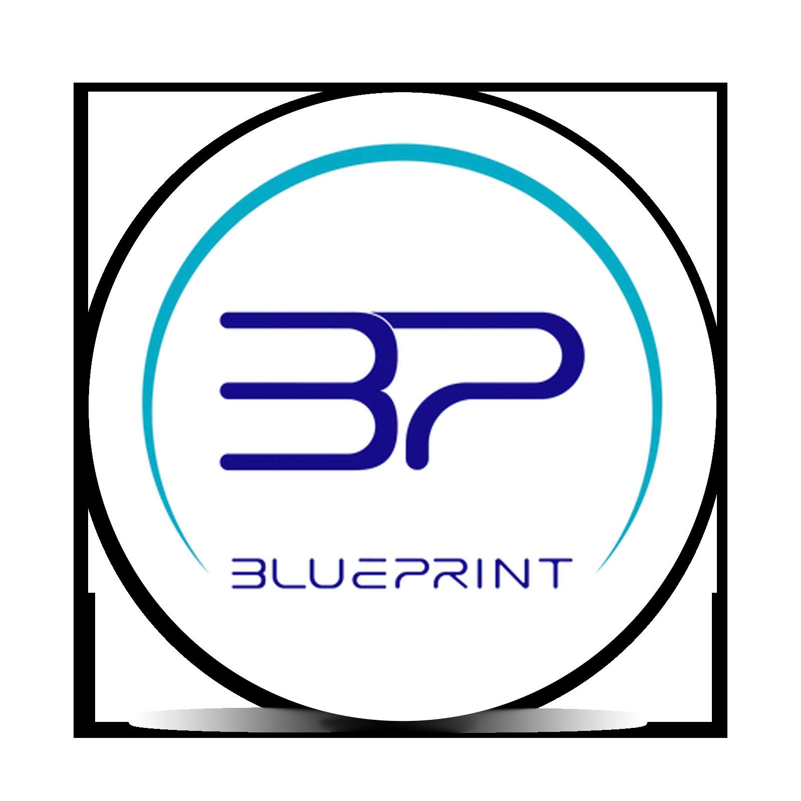 BLUE PRINT | KOSHER KUSH | 3.5G