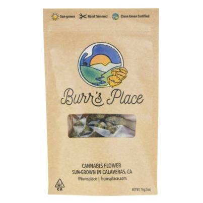 BURRS PLACE | PODDY MOUTH | 14G | PRE GROUND
