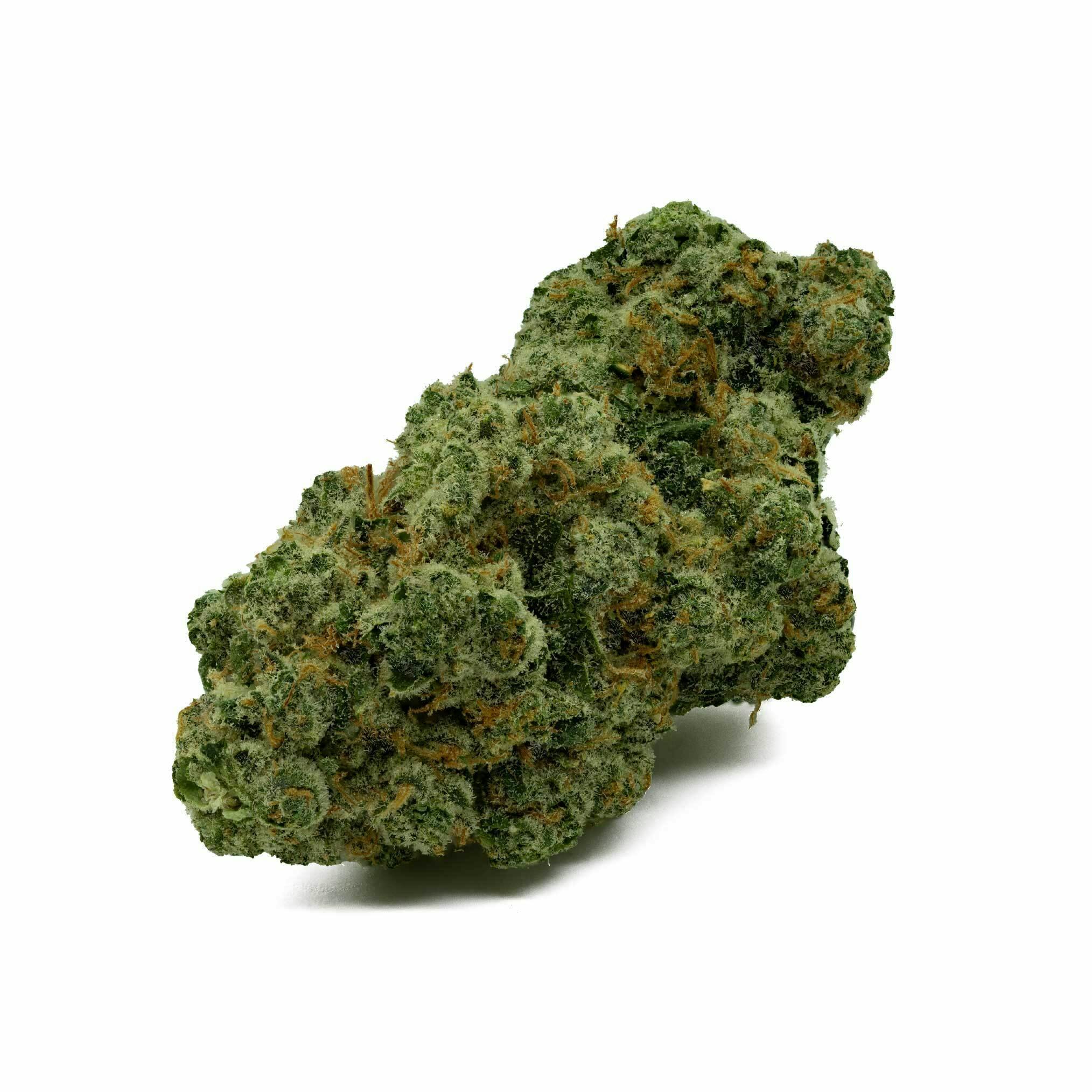 Mango Mintality Flower
