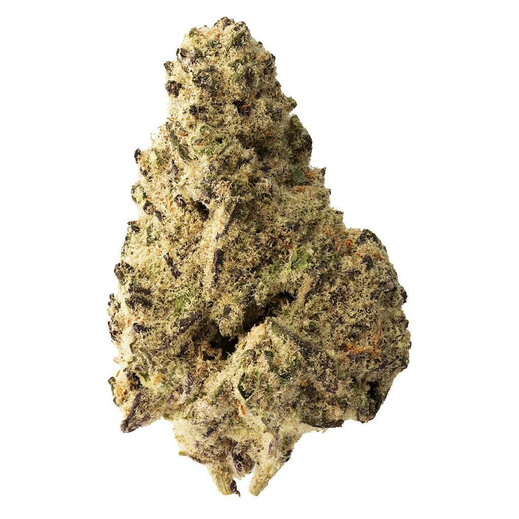 The Loud Plug - Platinum Punch - 28g