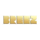 BREEZ Mints 100mg