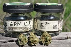 Farm Cut: Rose Queen -rich