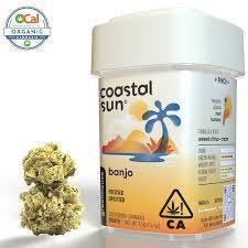 Coastal Sun | Cereal Milk | Sungrown Flower | 7g