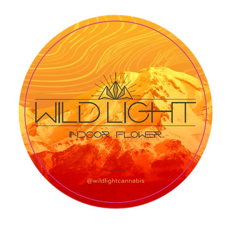 WILD LIGHT: Ice Bridges