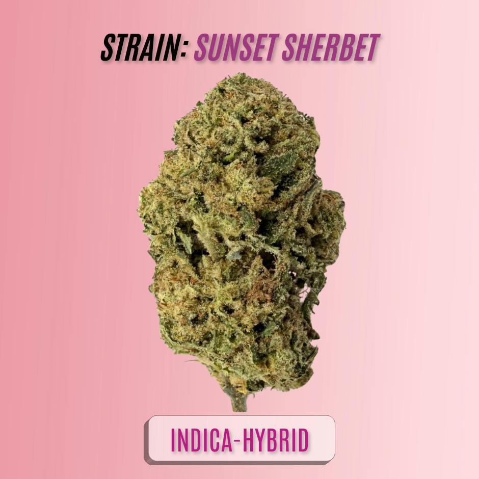 SUNSET SHERBET: Sunset Sherbet (Alta Gardens) $