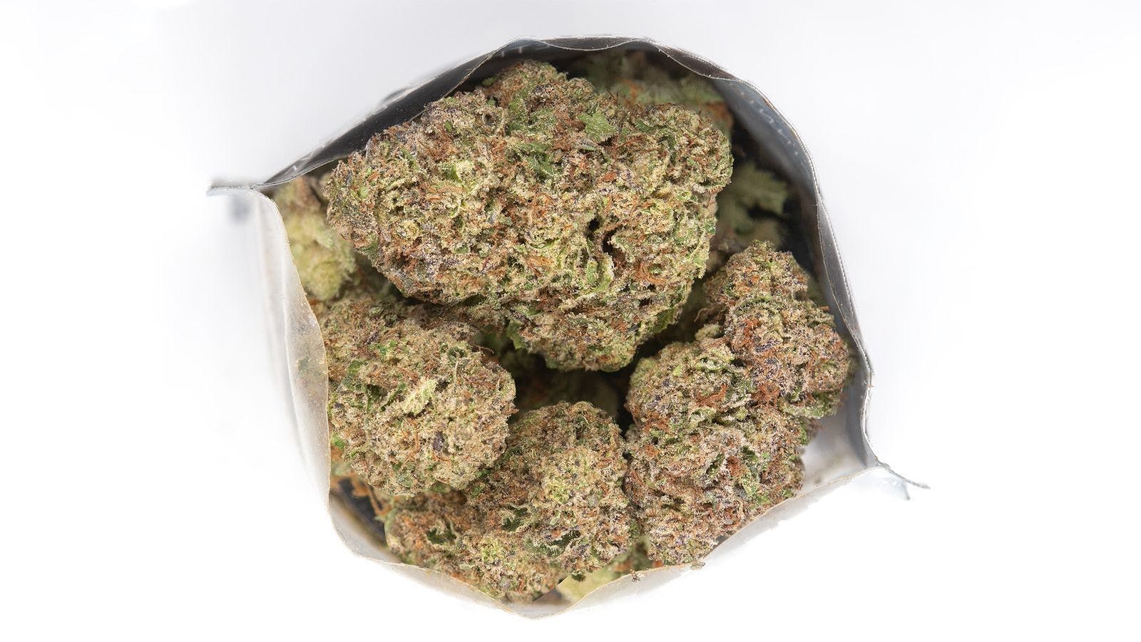 Madrone: Gelato #41