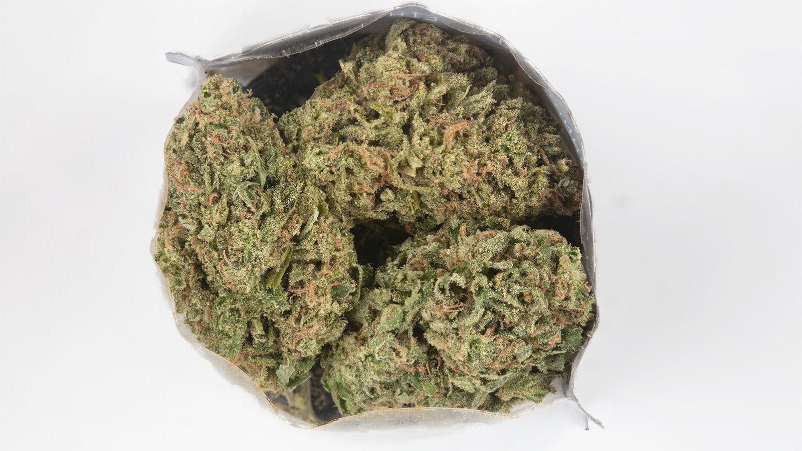 Madrone: Gelato #41