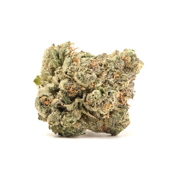 Daze Off: Hindu Kush
