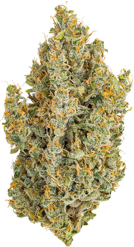 Heirbloom: Durban Poison