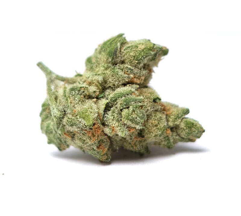 Daze Off: Super Silver Haze