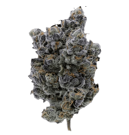 Fig Farms | Moonana Wreck | 3.5g