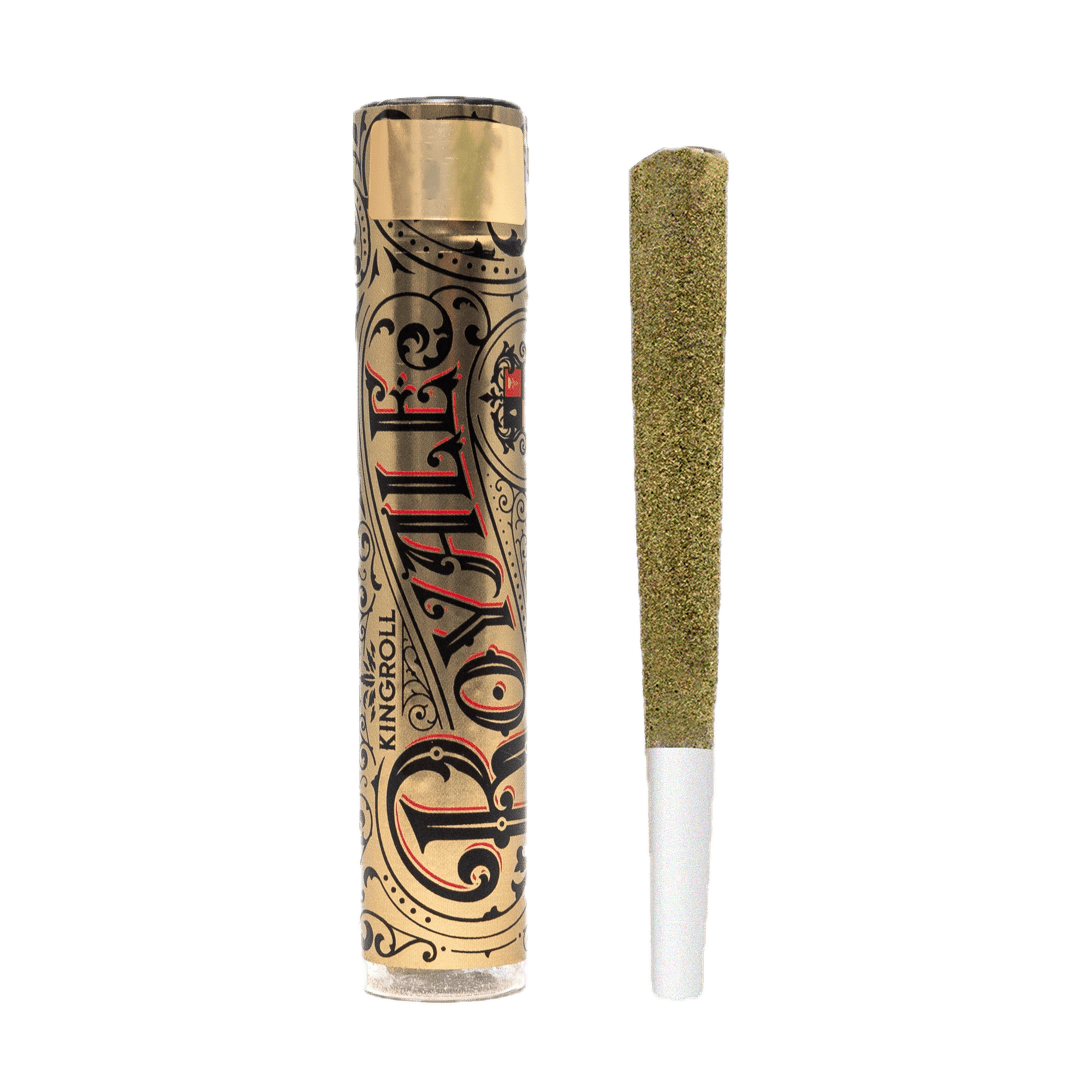 Kingpen: Jenny Kush