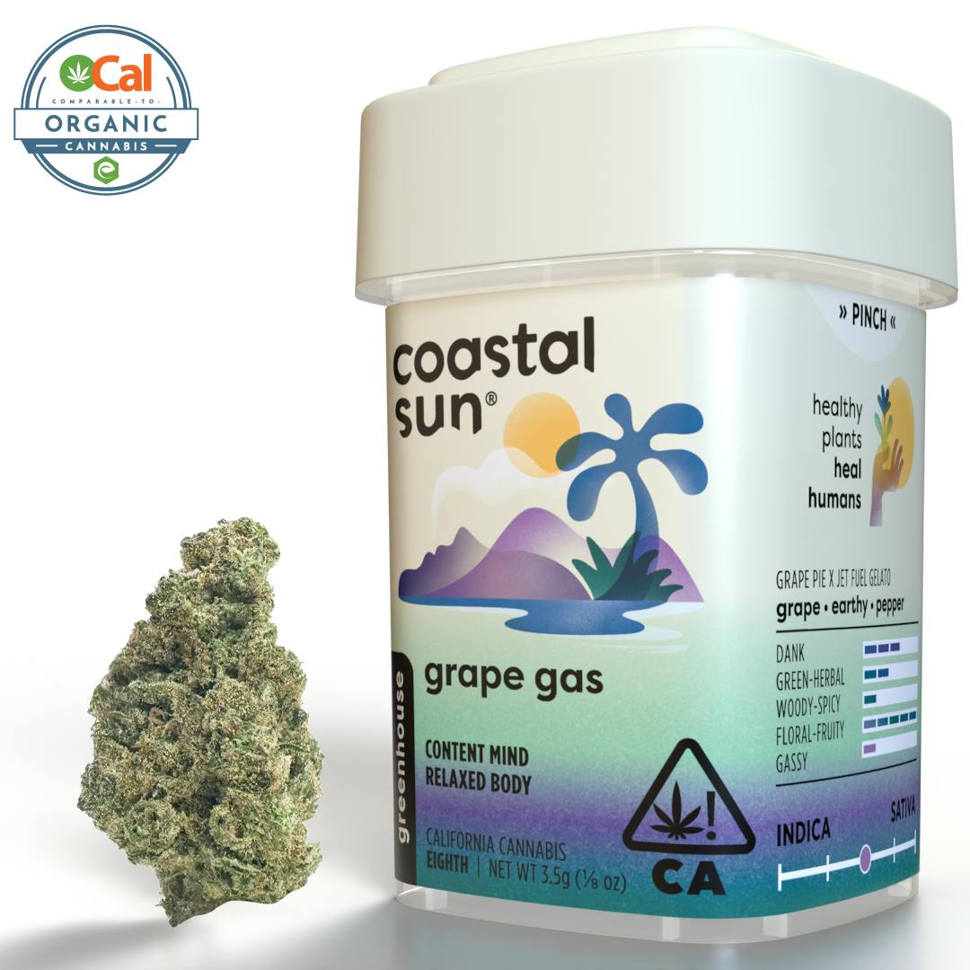 Coastal Sun: Grape Gas