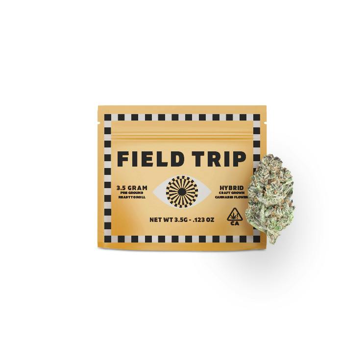Field Trip: Slushberry - Pre-Ground - 3.5g