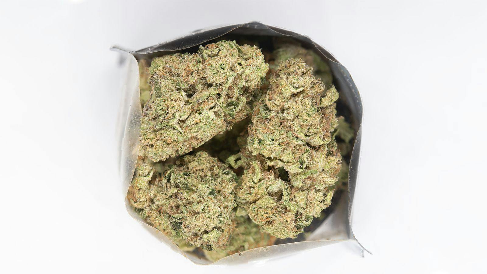 Madrone: Mint Sherbert