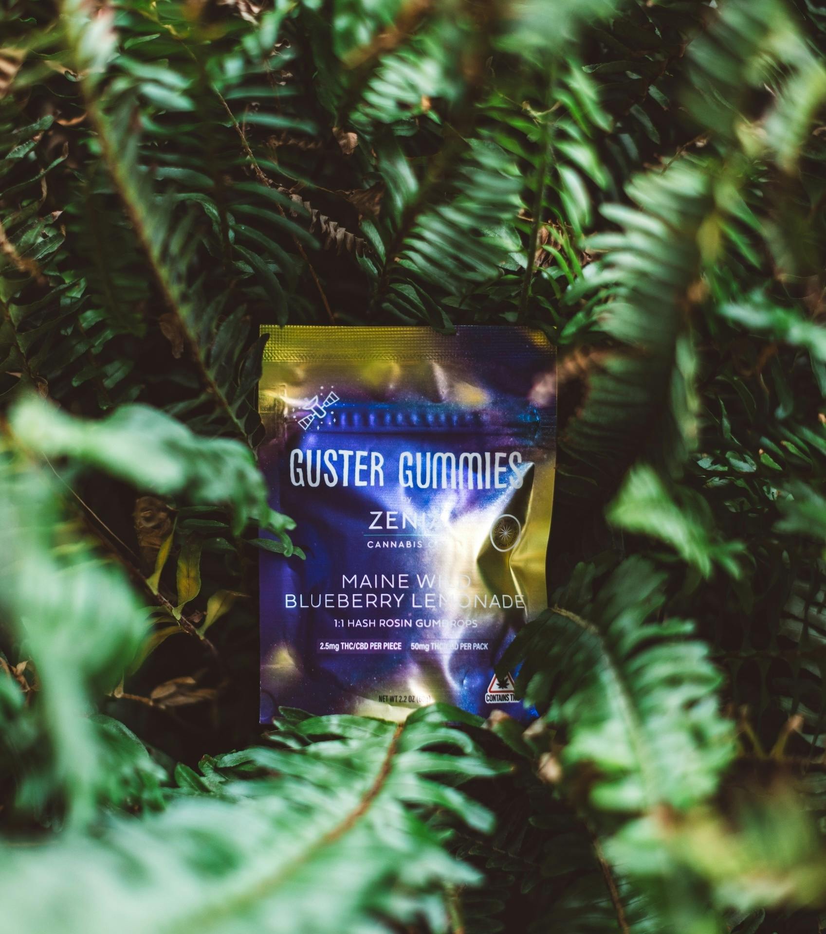 Guster Wild Blueberry Lemonade 1:1 Gummies (100mg)