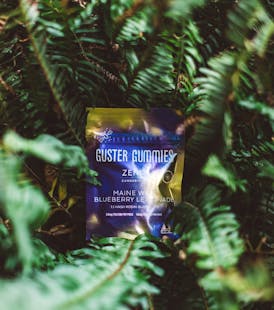 Guster Wild Blueberry Lemonade 1:1 Gummies (100mg)