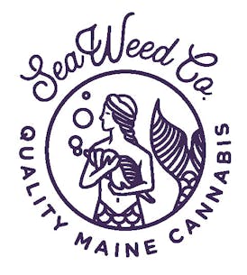 Seaweed - Healing Hive THC:CBD Salve