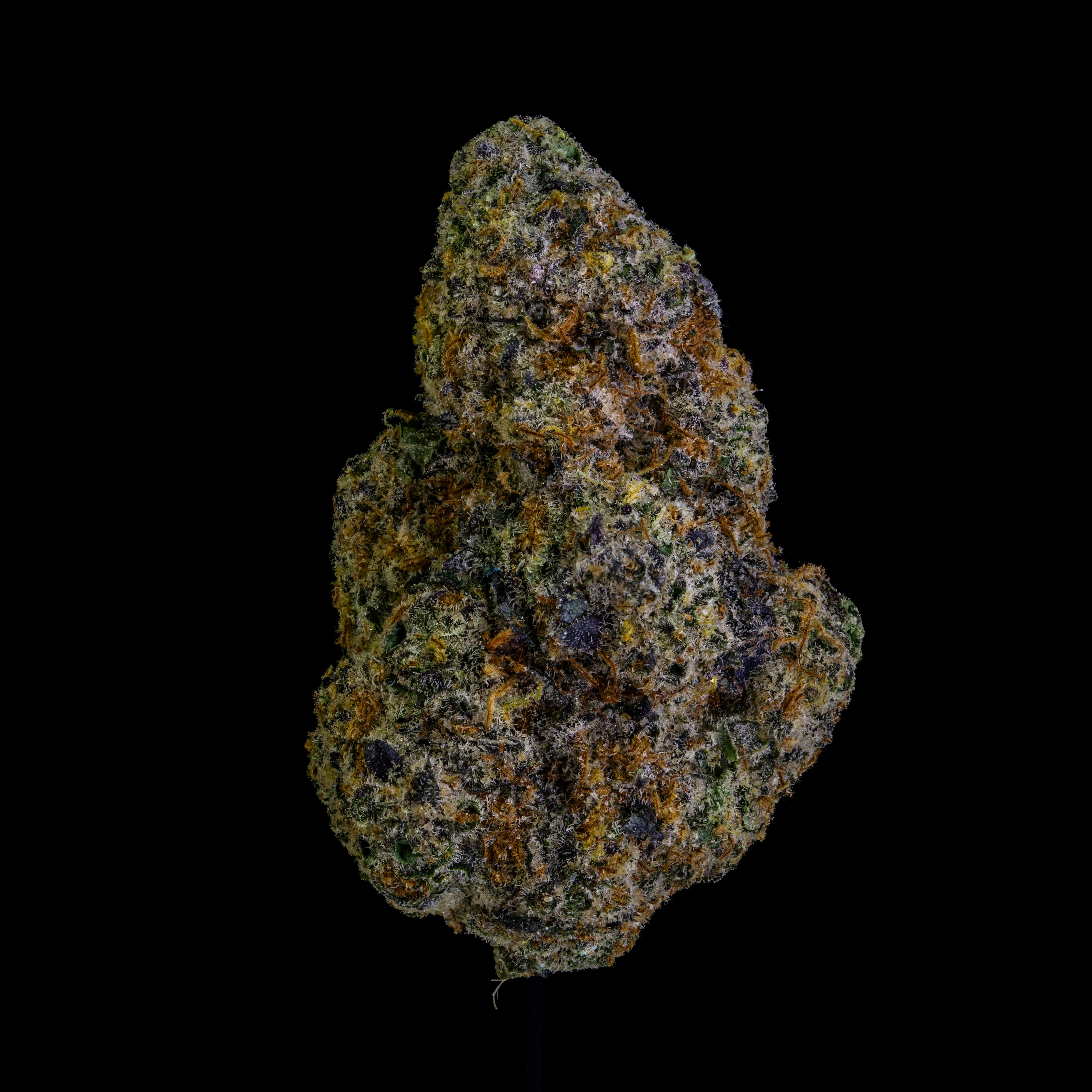 NoBo Flower 3.5g - Black Maple