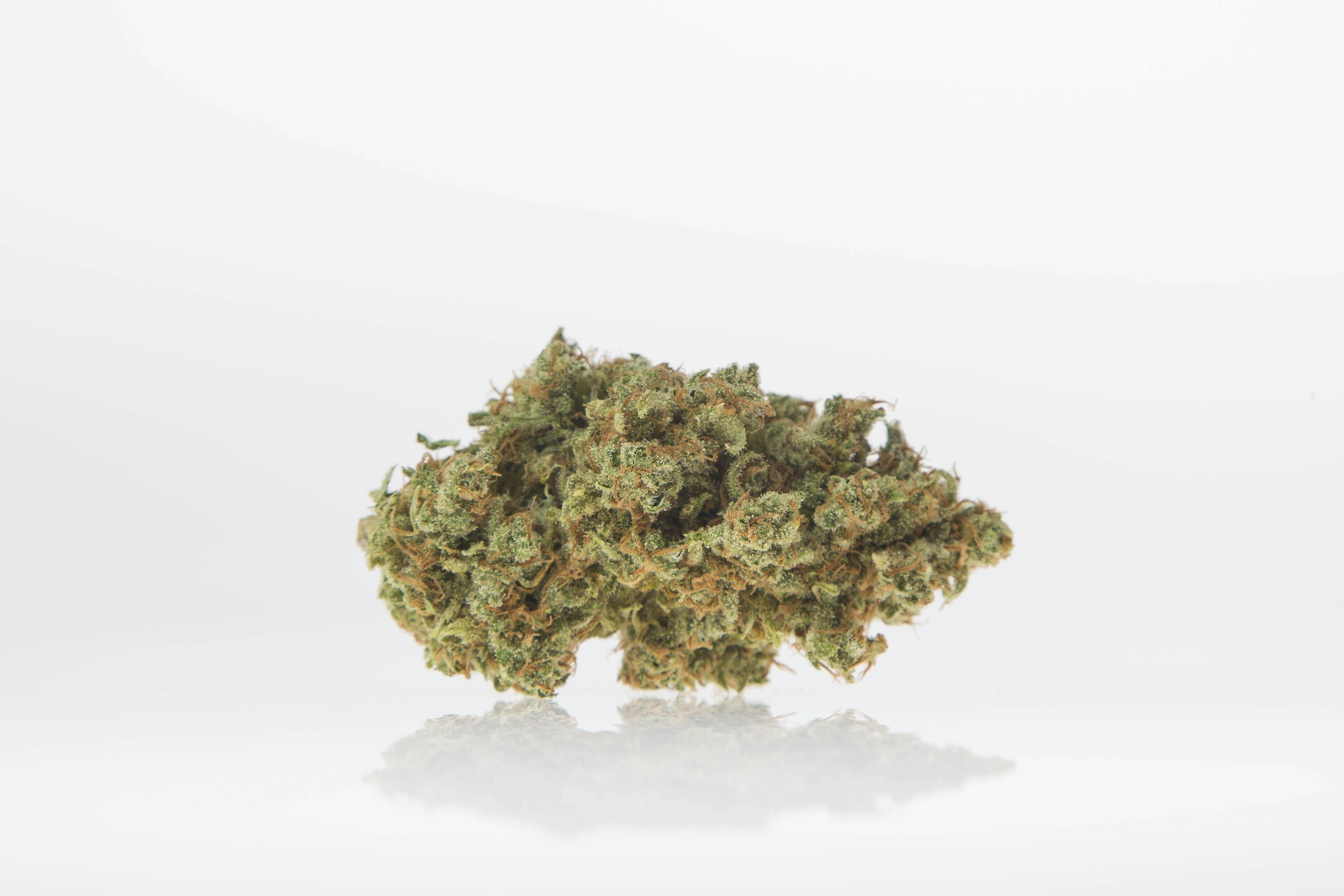 Jack Herer | Top Shelf