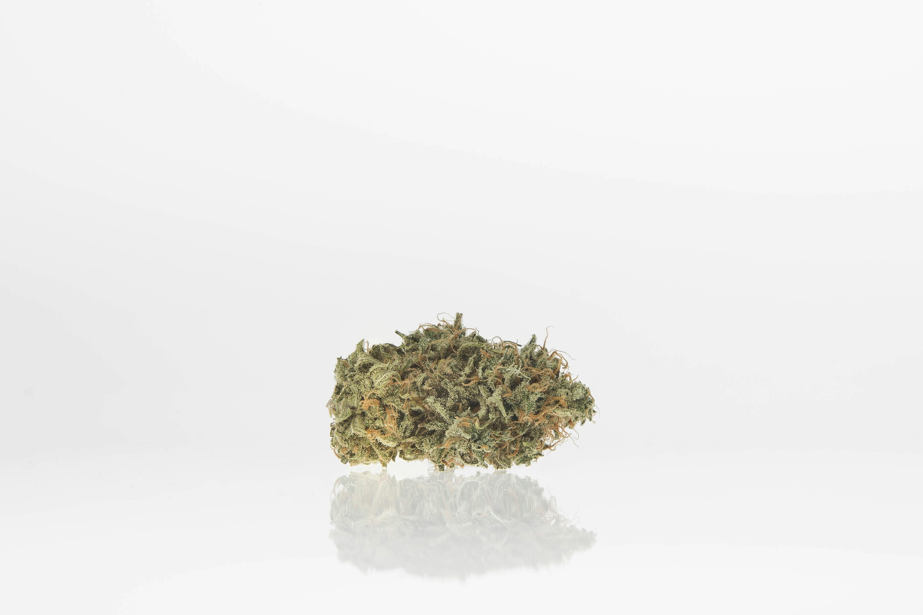 Chocolate Thai | Yellow Lid