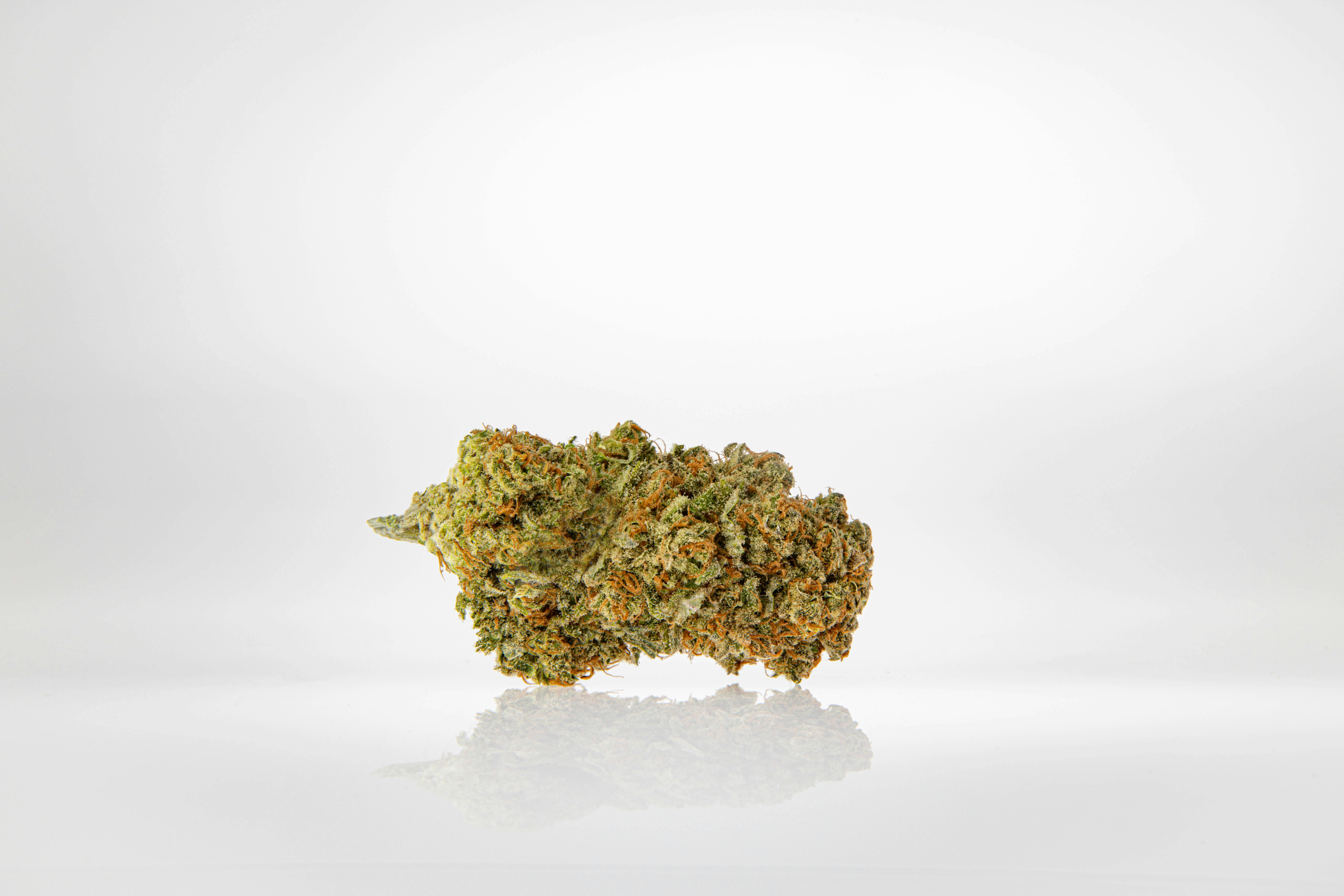 Sweet Black Angel | Top Shelf