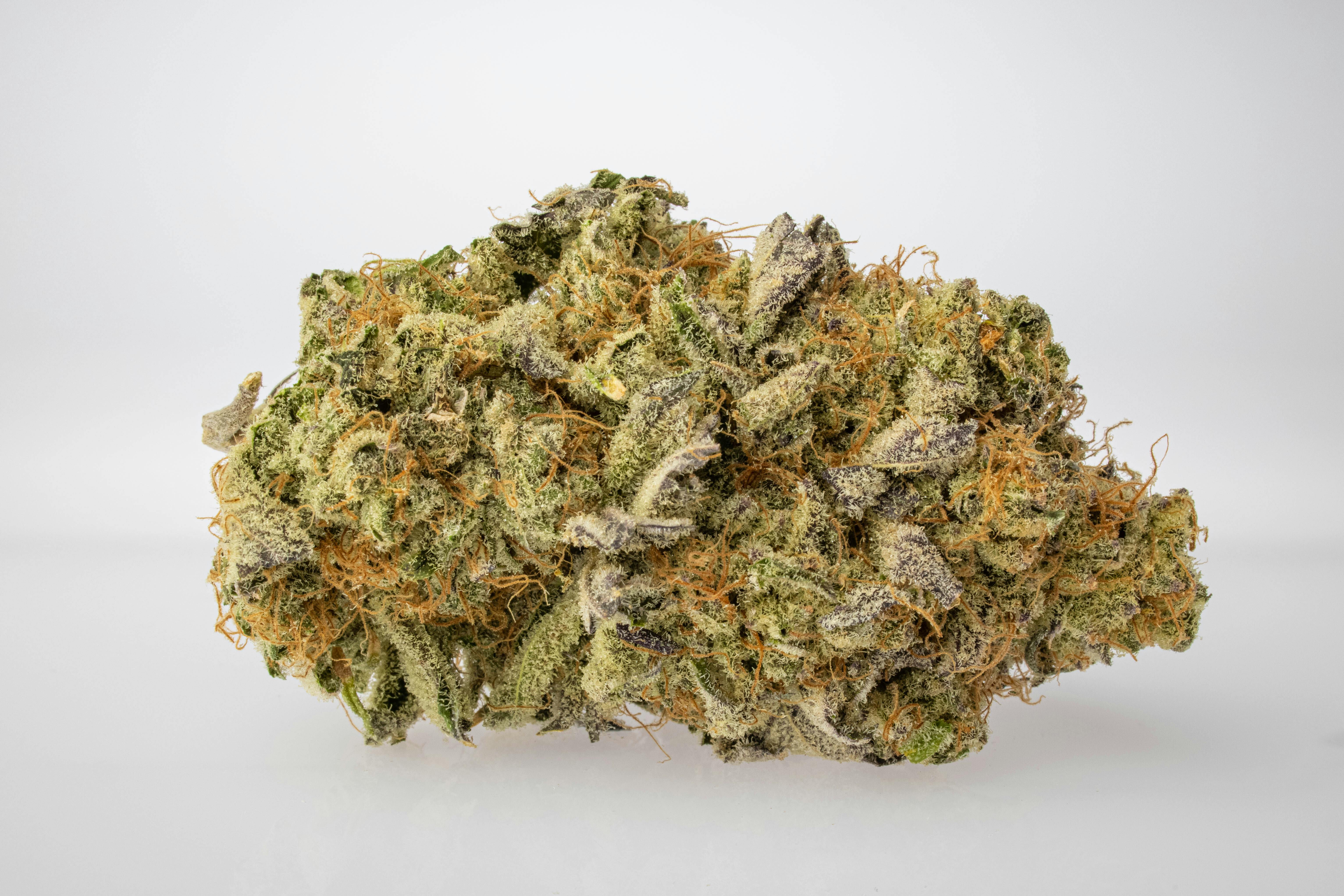 Deluxe Sugar Cane | Yellow Lid