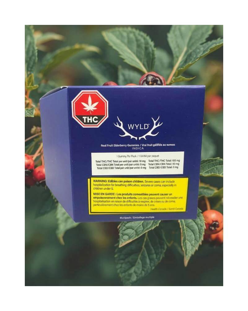 Real Fruit Elderberry Multipack Soft Chews | 100mg THC + 50mg CBN