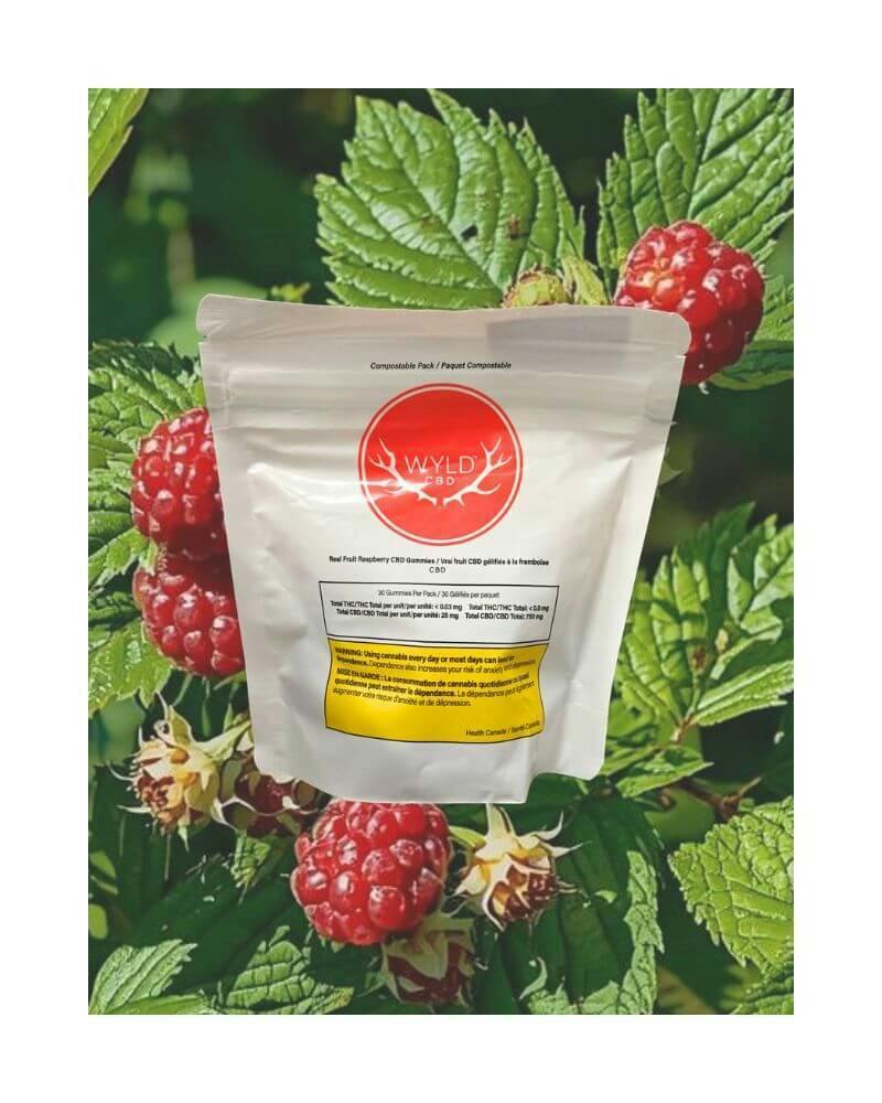 CBD Real Fruit Raspberry Soft Chews | 750mg CBD
