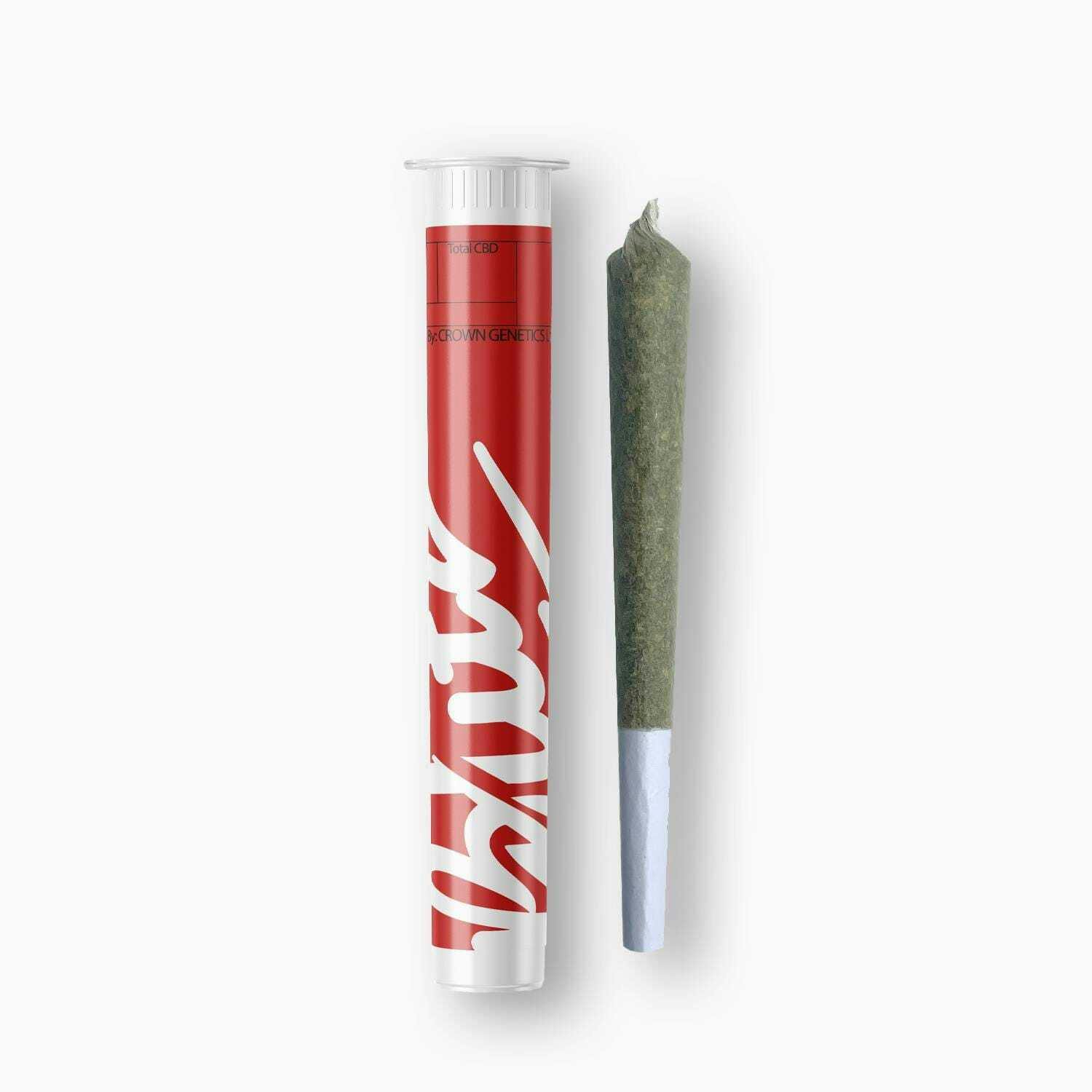 Blitz - Blitz — Cactus Jack