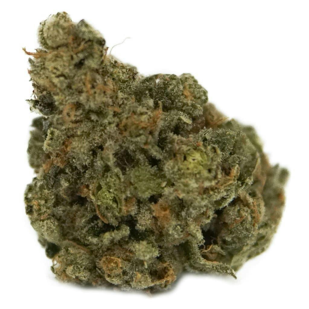 The Loud Plug Exotic Gas 3.5g Dried Flower