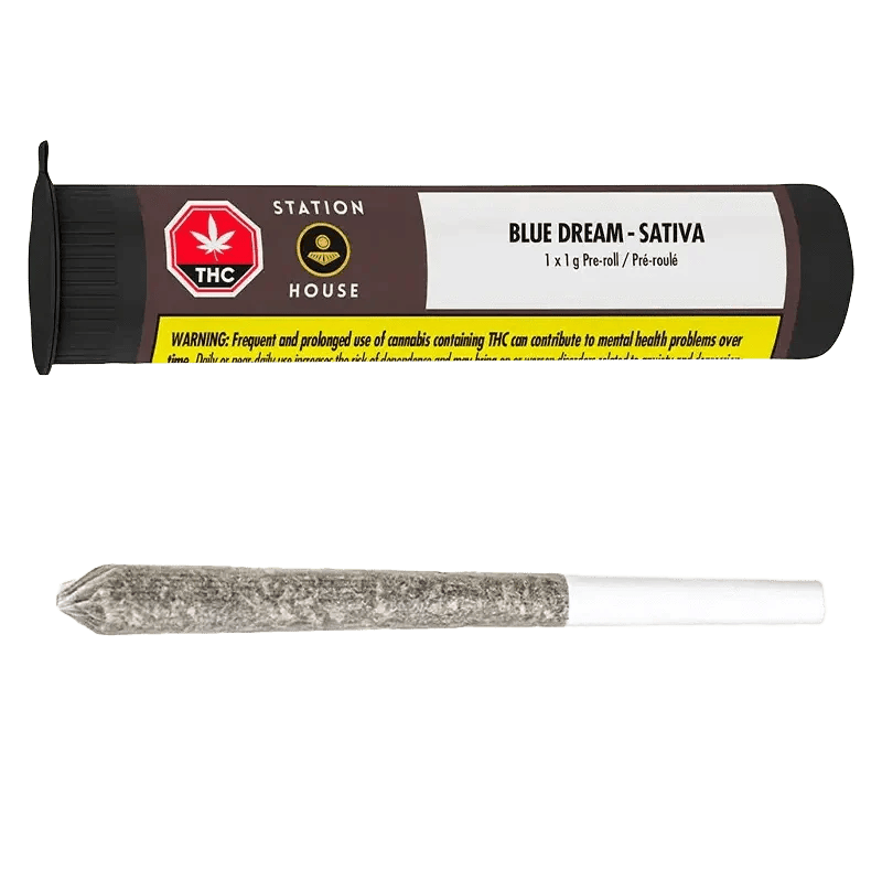 Station House - BLUE DREAM SINGLE PRE-ROLLS - 1 x .5g