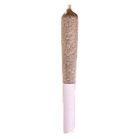 STATION HOUSE - ROCKSTAR KUSH PRE-ROLL 1 x 0.5g