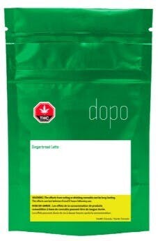 Gingerbread Latte | 1pk