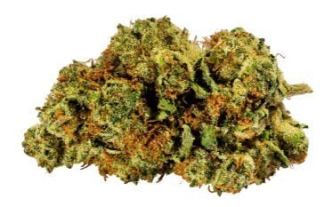 Legendarry OG | 28g