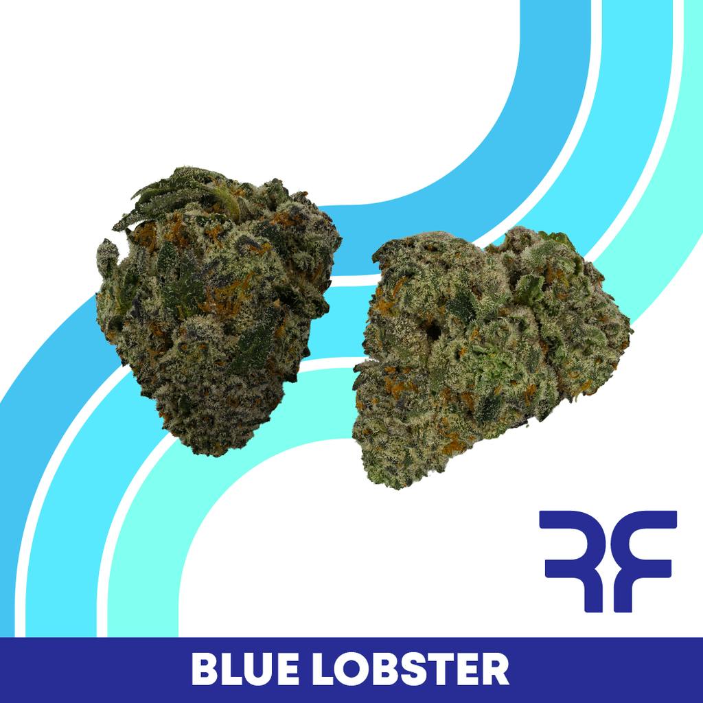 Reef Blue Lobster Smalls 7g