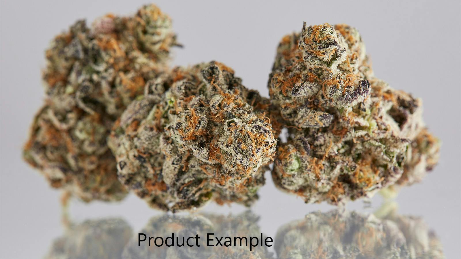 Orange Ice Pops - Bulk Flower