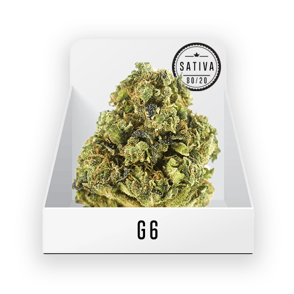 Bud - (Top Shelf) G6 #3 22.59% THC