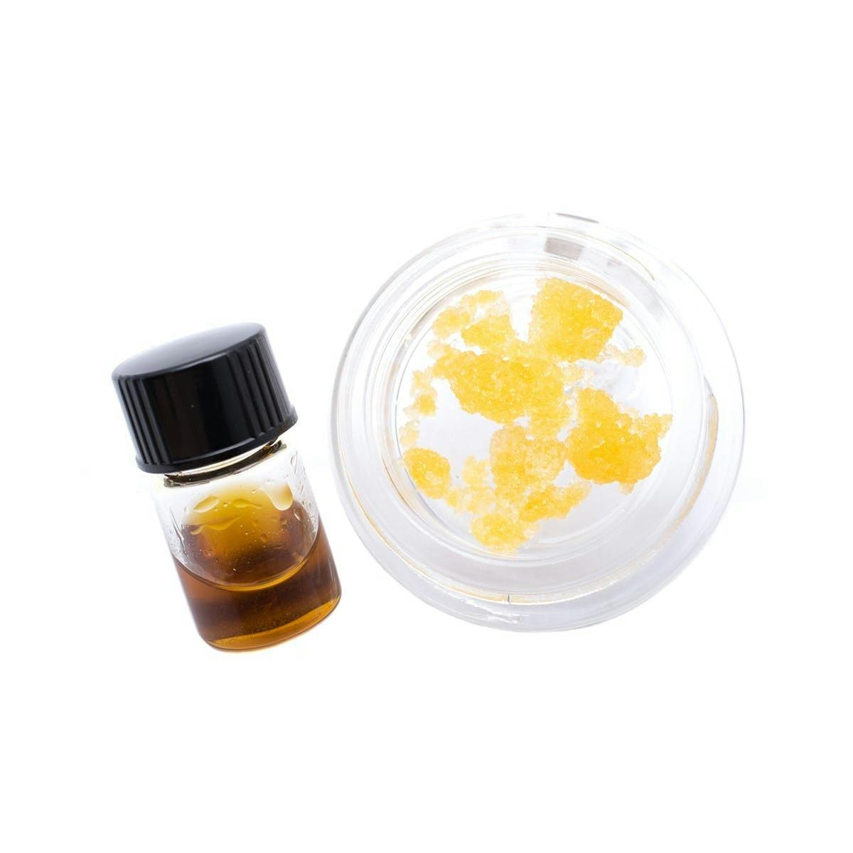 Absolute Terps