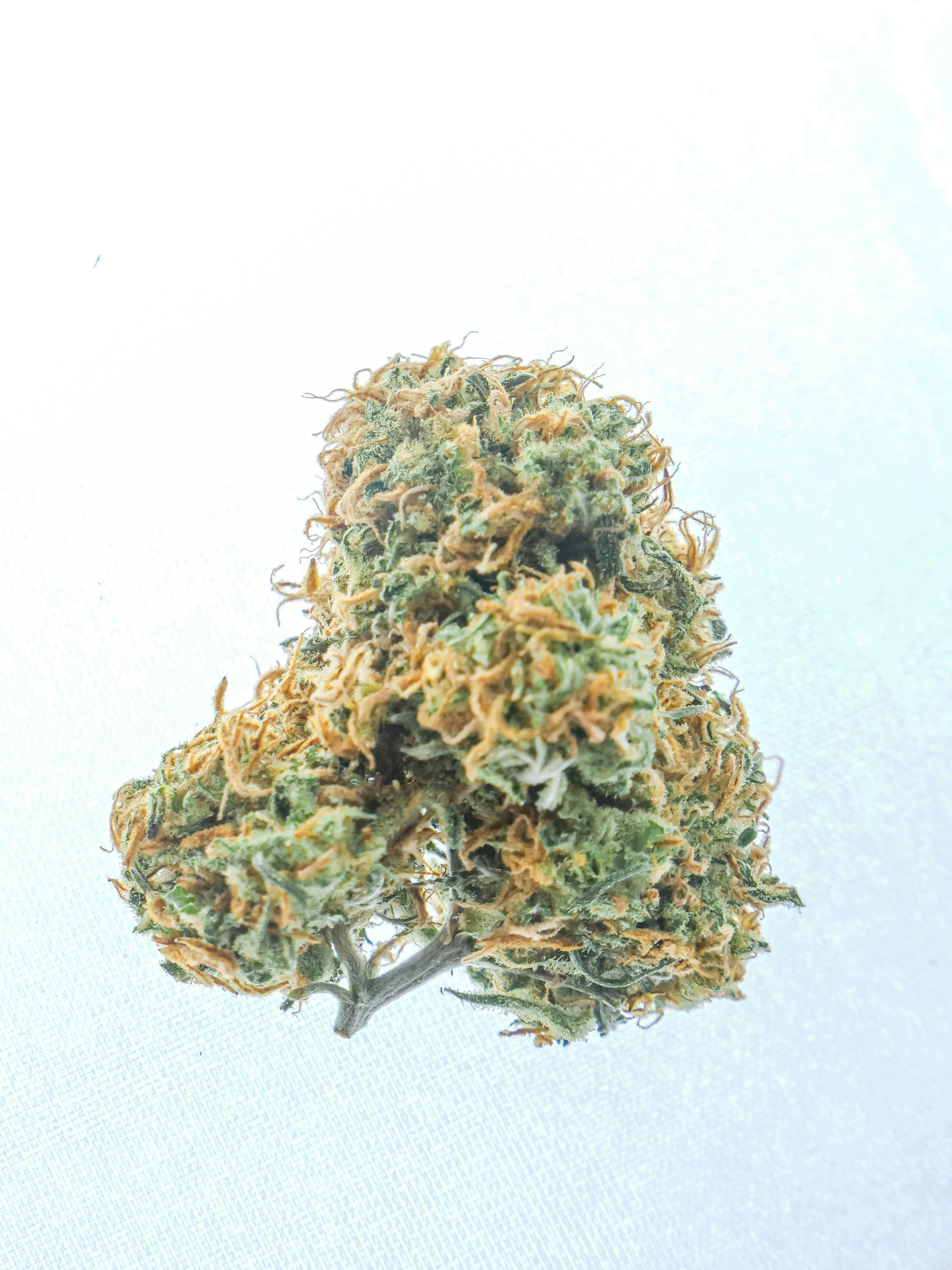 Cap Junky