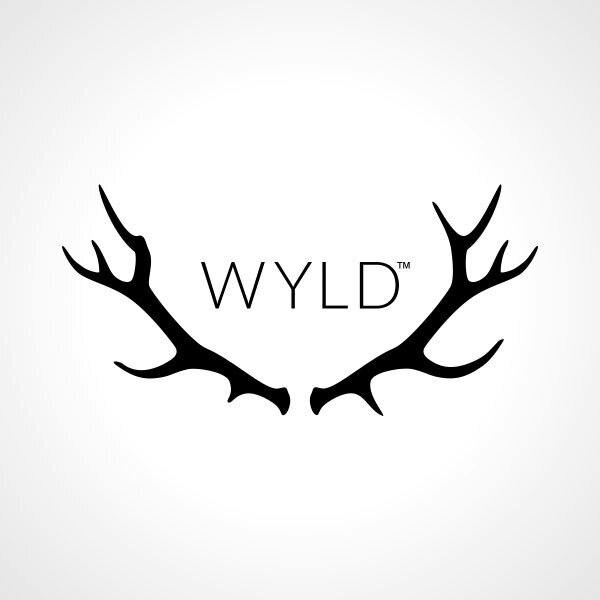 Wyld Raspberry Gummy 100mg [10pk] Candy