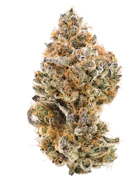 North Star Farm Flower Grease Monkey