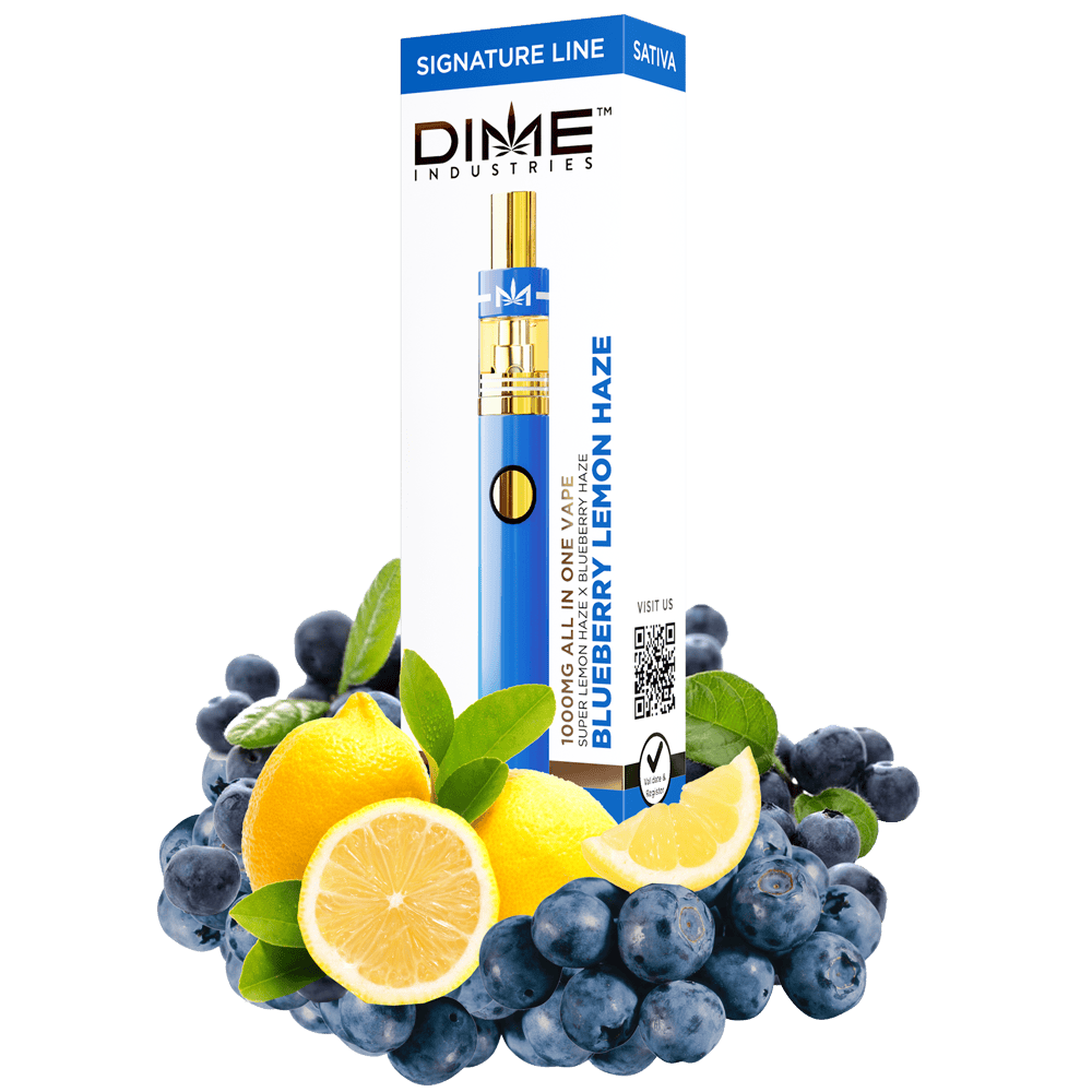 DI Blueberry Lemon Haze 2g Disp Vape