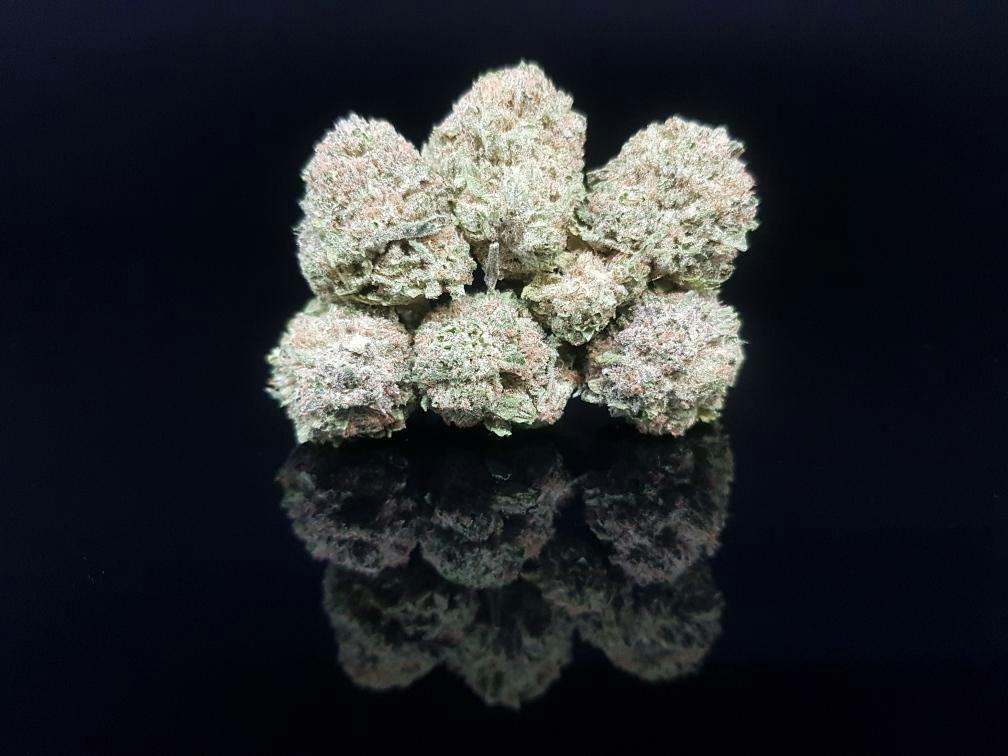 Gush Mints Flower (I)