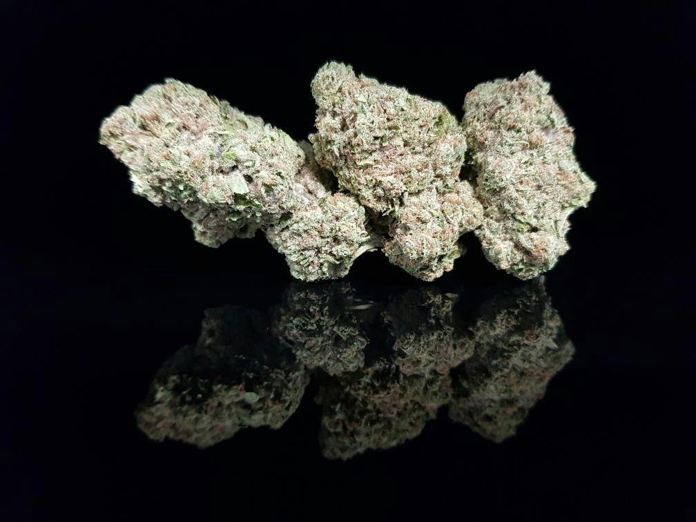Gorilla Nut Flower (H)