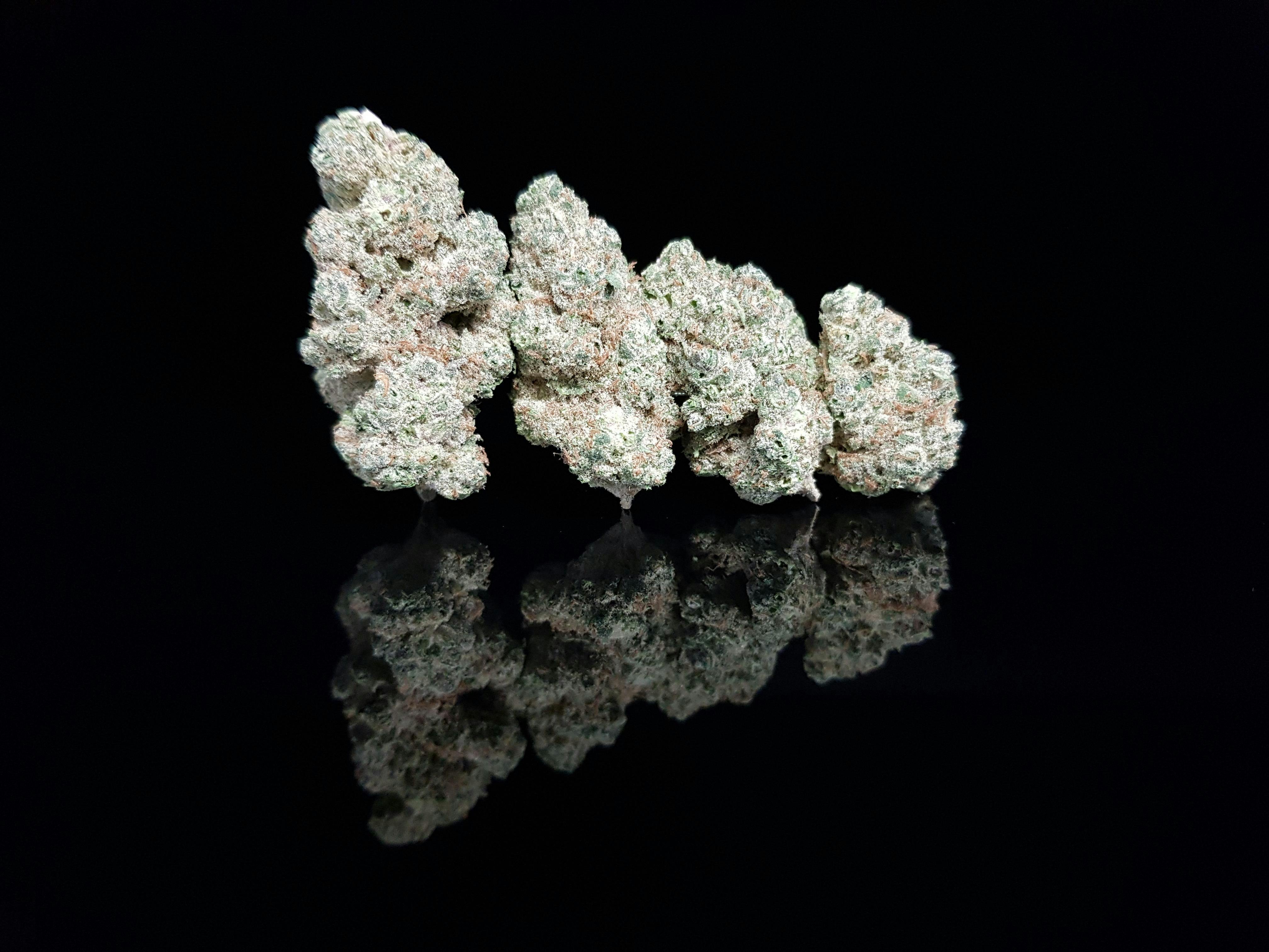 Superboof Flower (H)