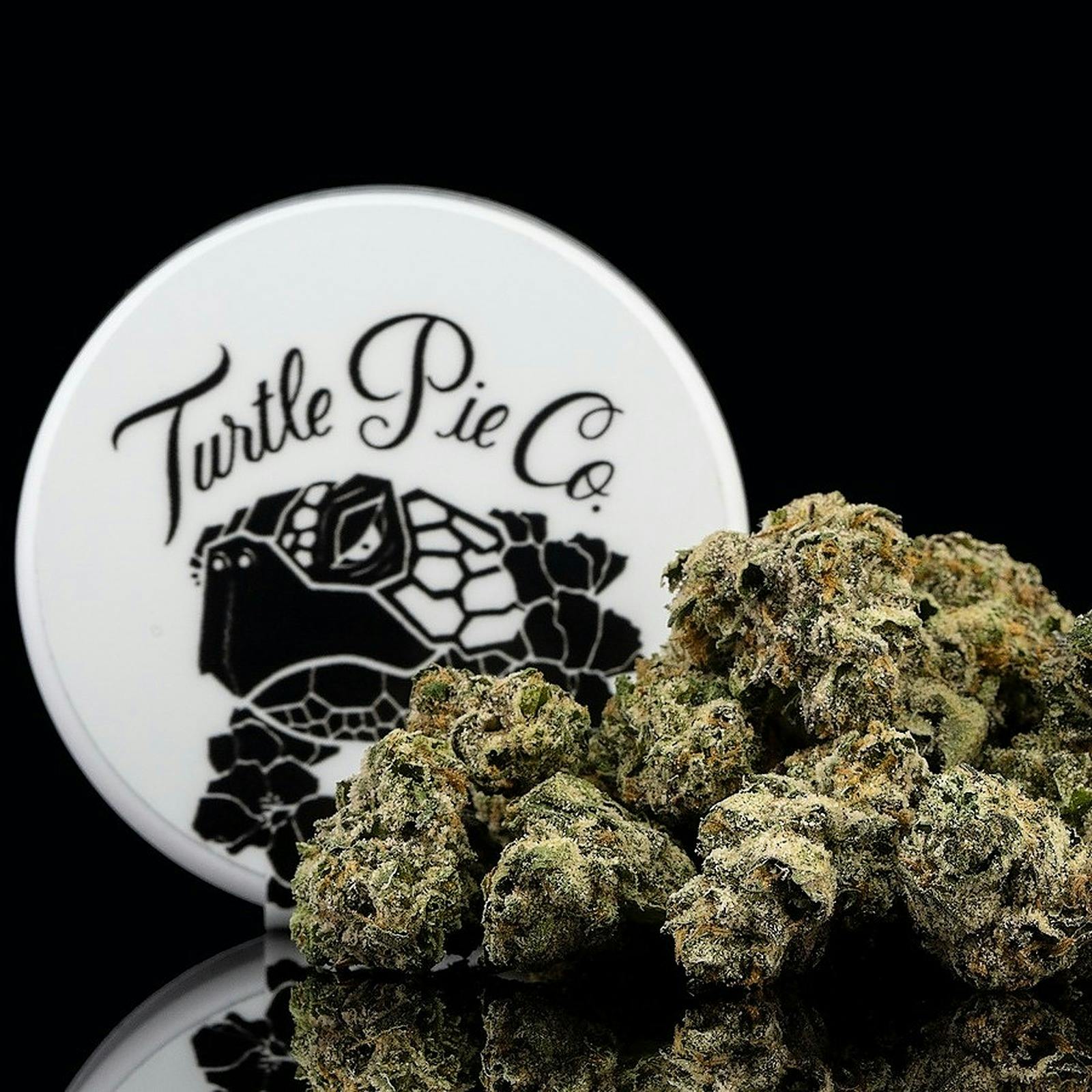 Turtle Pie Co.: Original Sin